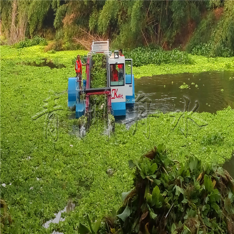 自动化水草清除船 河道水草收割设备 水花生打捞船