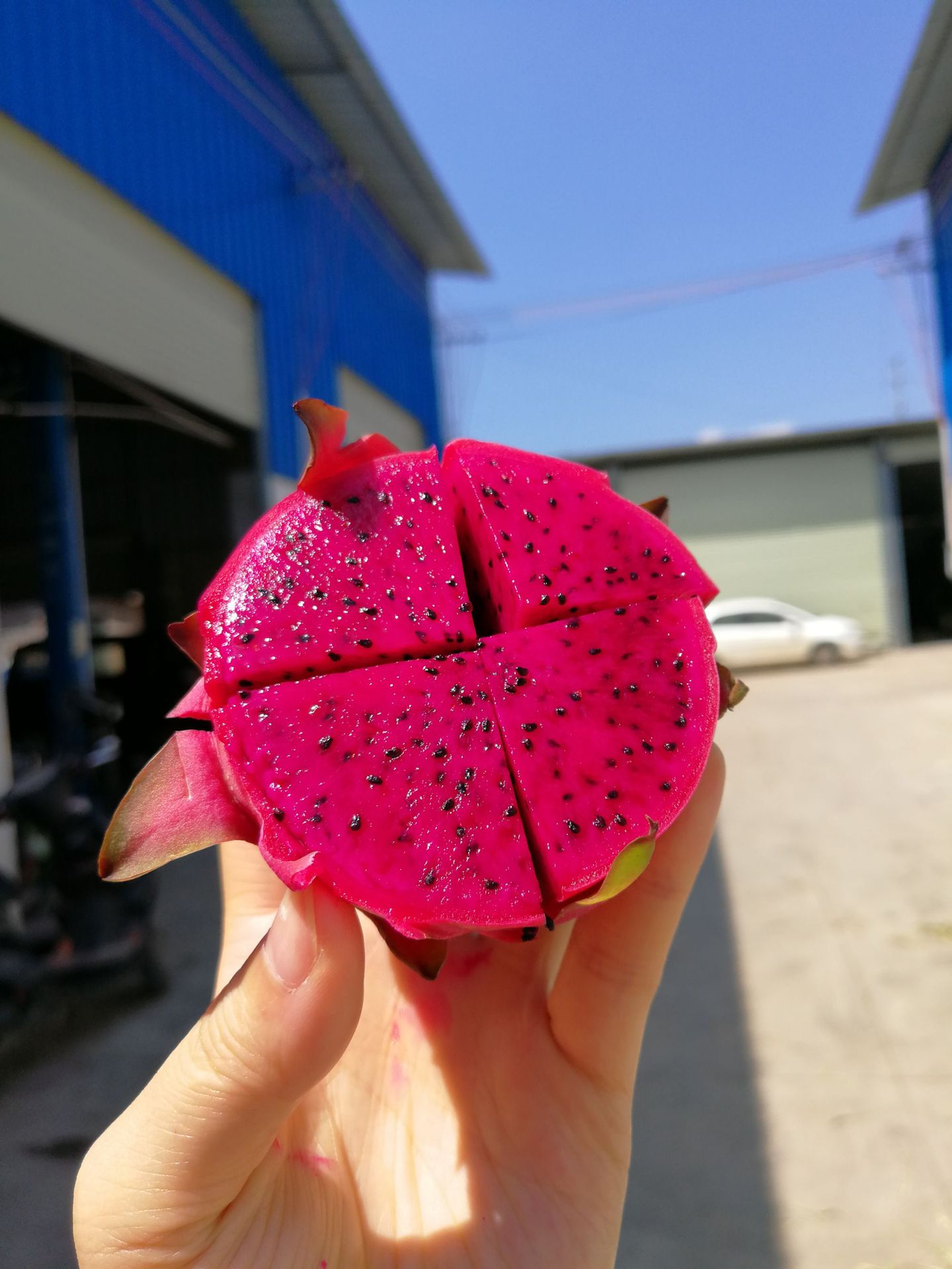 广西红心迷你火龙果5斤装热带新鲜水果 火龙果小果 包邮一件代发