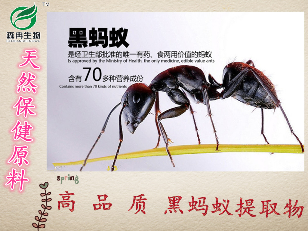 黑蚂蚁粉黑蚂蚁浓缩粉黑蚂蚁生粉