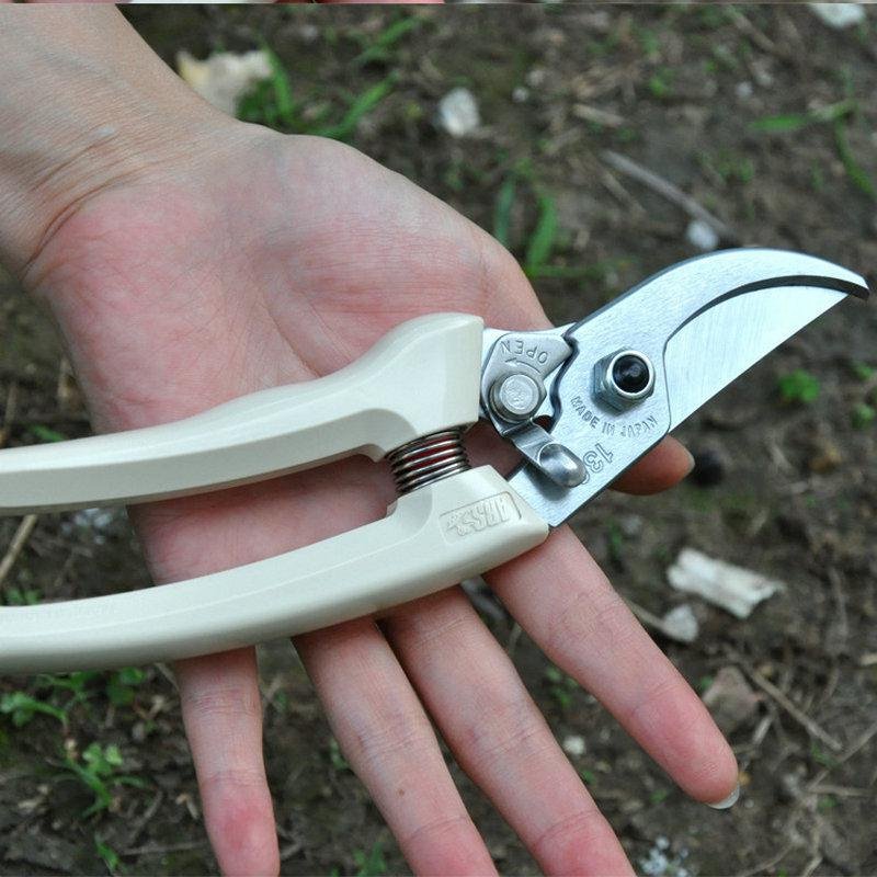 手剪粗枝剪刀工具日本修枝剪斯果园剪花果树园艺整枝剪爱丽