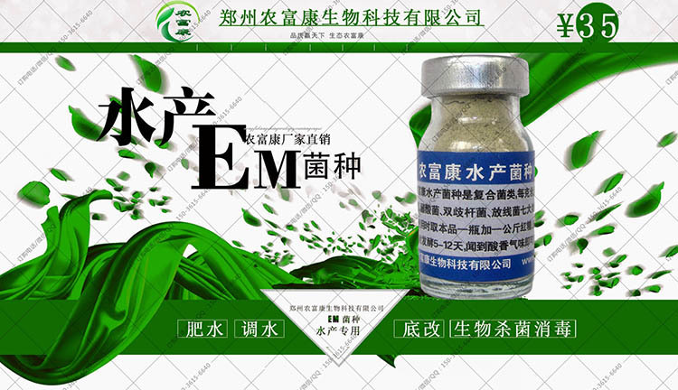 泥鳅肥水调水em菌种