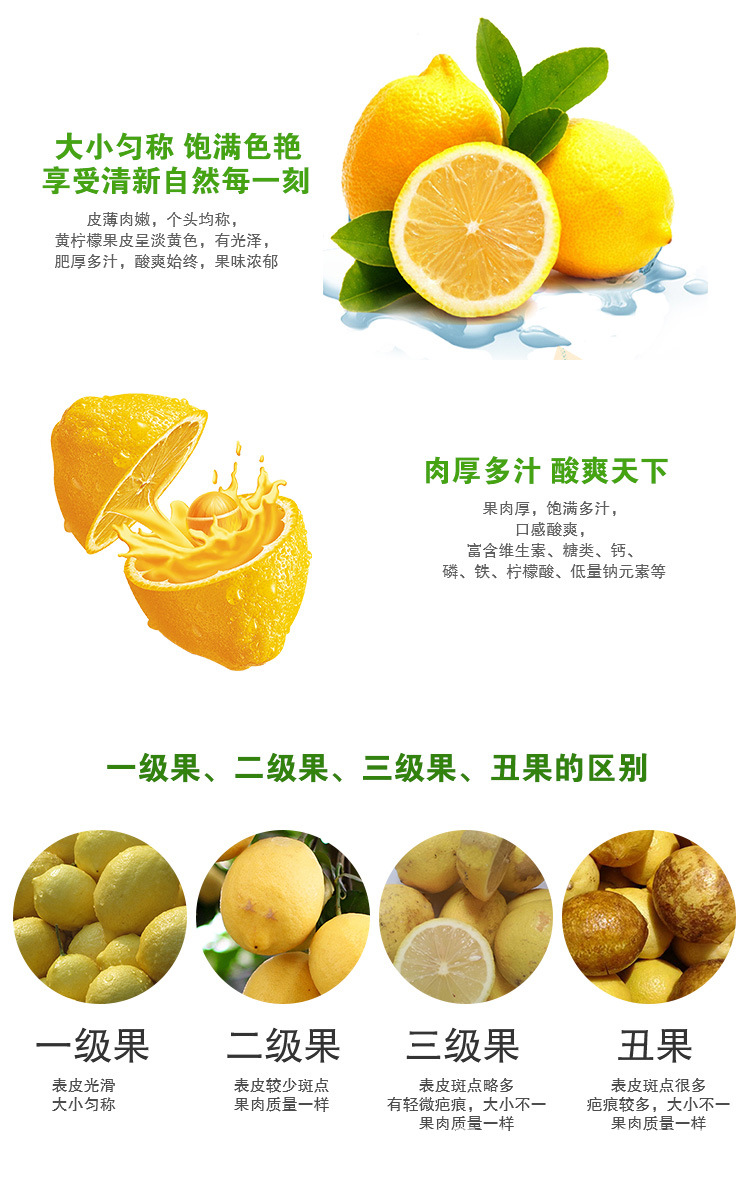 二级黄柠檬安岳尤力克新鲜黄柠檬大小果随机发货产地货源5斤包邮
