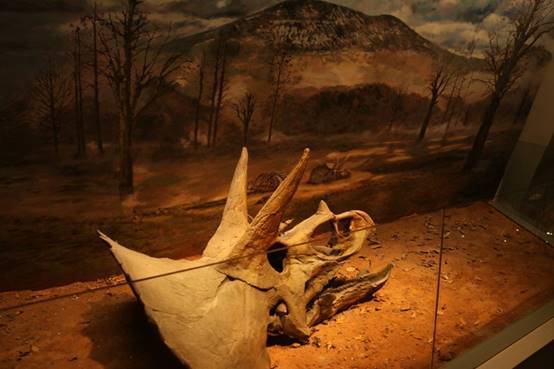 躲避人头的五一自驾去北碚看恐龙