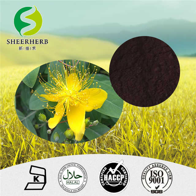 贯叶连翘提取物 金丝桃素0.3%st.johns.wort p.e.