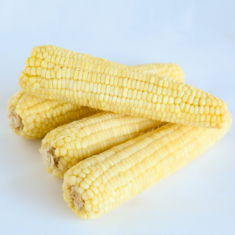 东北甜糯速冻玉米  白色黄色熟冻玉米香甜粘玉米