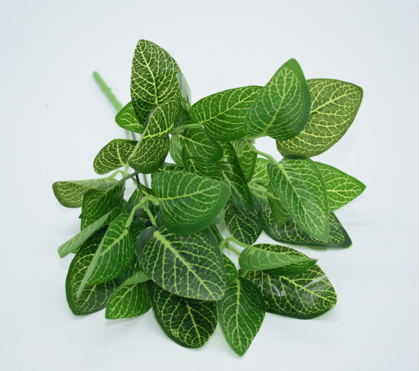 过胶仿真绿网纹草小把植物网纹叶花生叶玉兰绿化植物墙配材