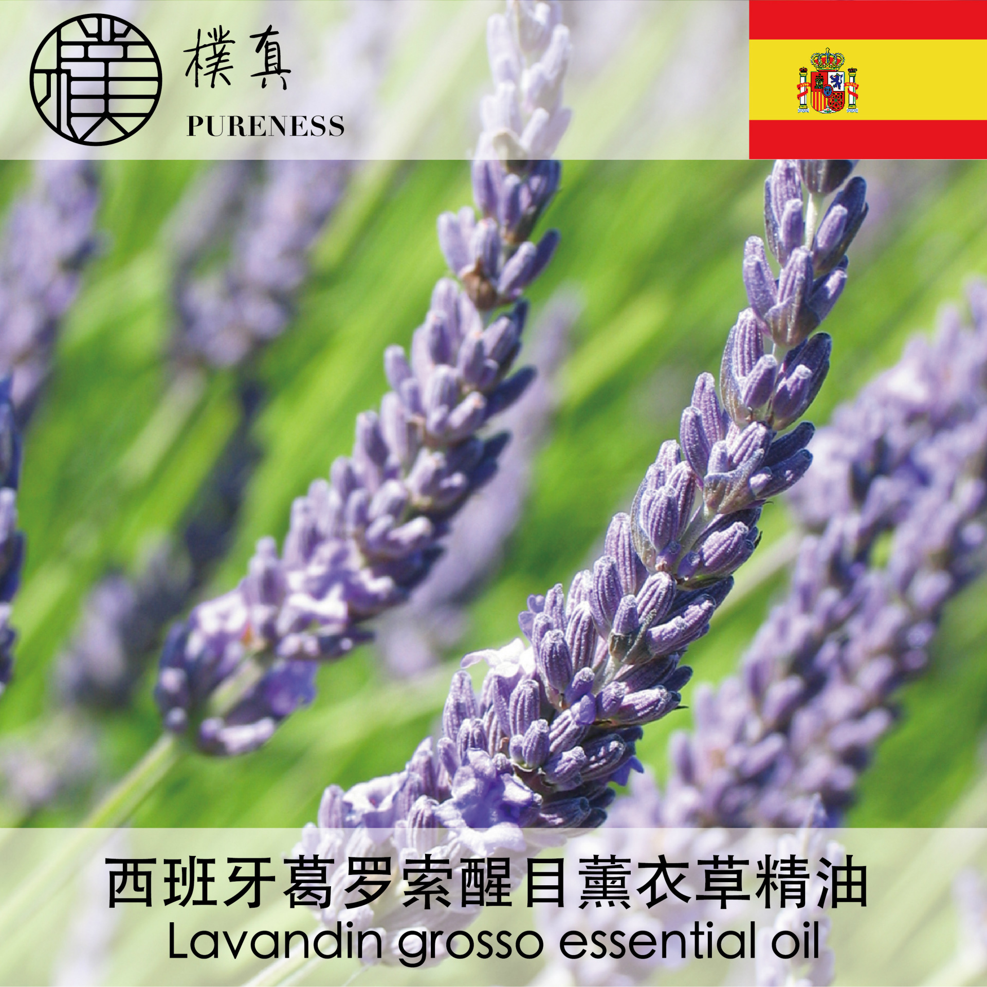 葛罗索醒目薰衣草精油lavandingrossoessentialoil台湾朴真