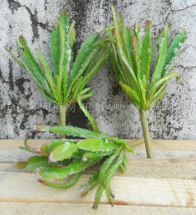 手感软胶塑料假植物 多肉扁仙人掌 桌面小盆栽饰品仿真绿植