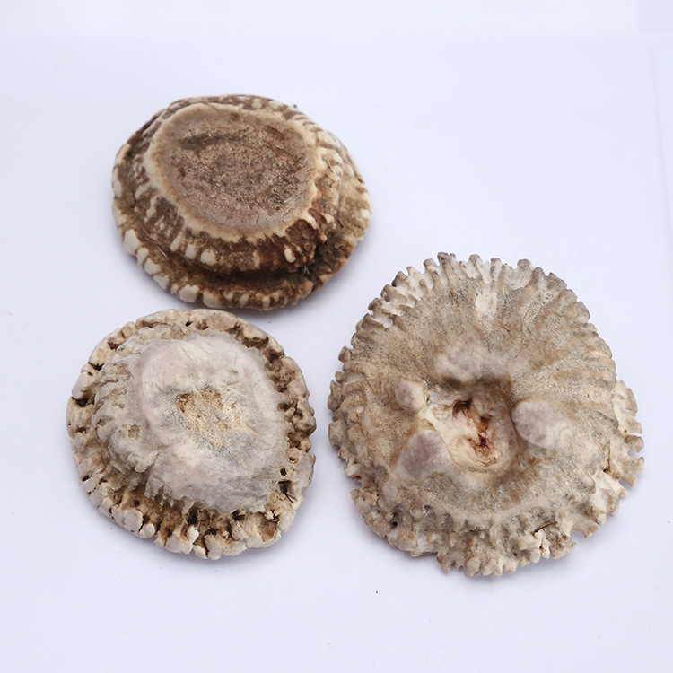 鹿角帽鹿角帽粉鹿场批发