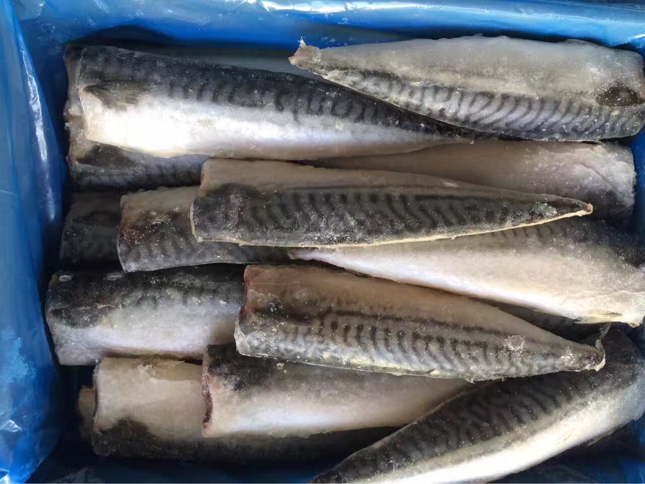 醋青鱼片 醋青鱼 青花鱼 青花鱼片 整件10斤