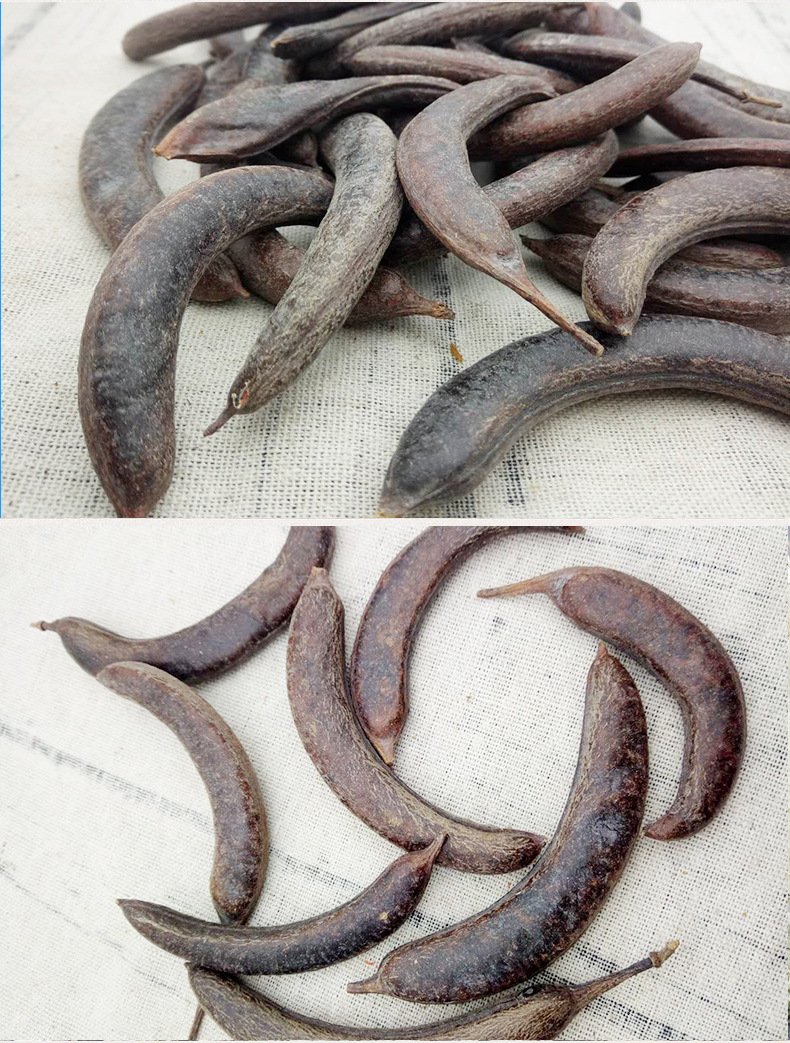 厂家直销中药材猪牙皂 批发猪牙皂 猪牙皂角