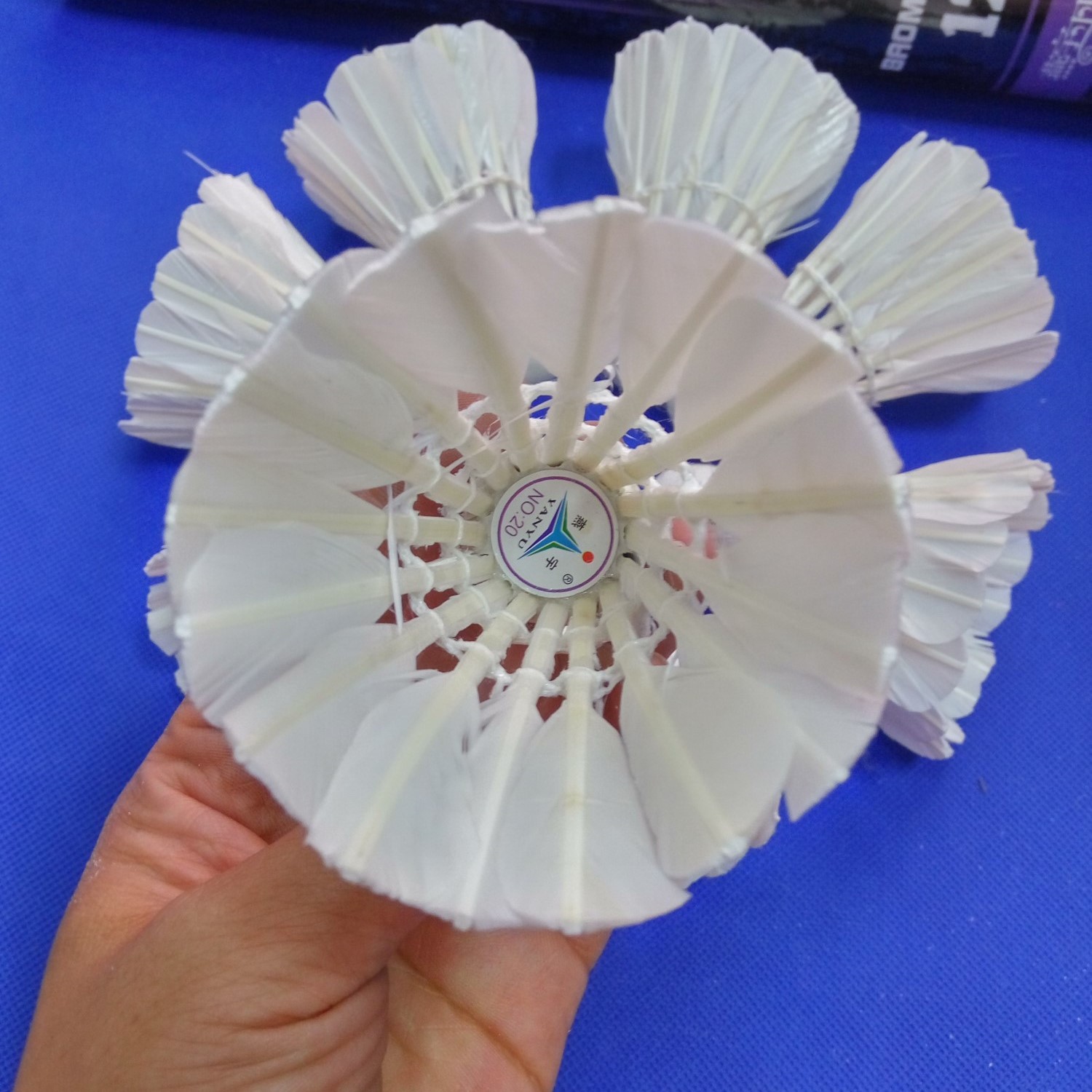 燕宇20羽毛球  加厚鹅毛 泡沫球头 弹力好飞的远青少年训练耐打