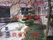 蘇州庭院景觀設計、蘇州綠化景觀工程施工、蘇州屋頂花園景觀工程
