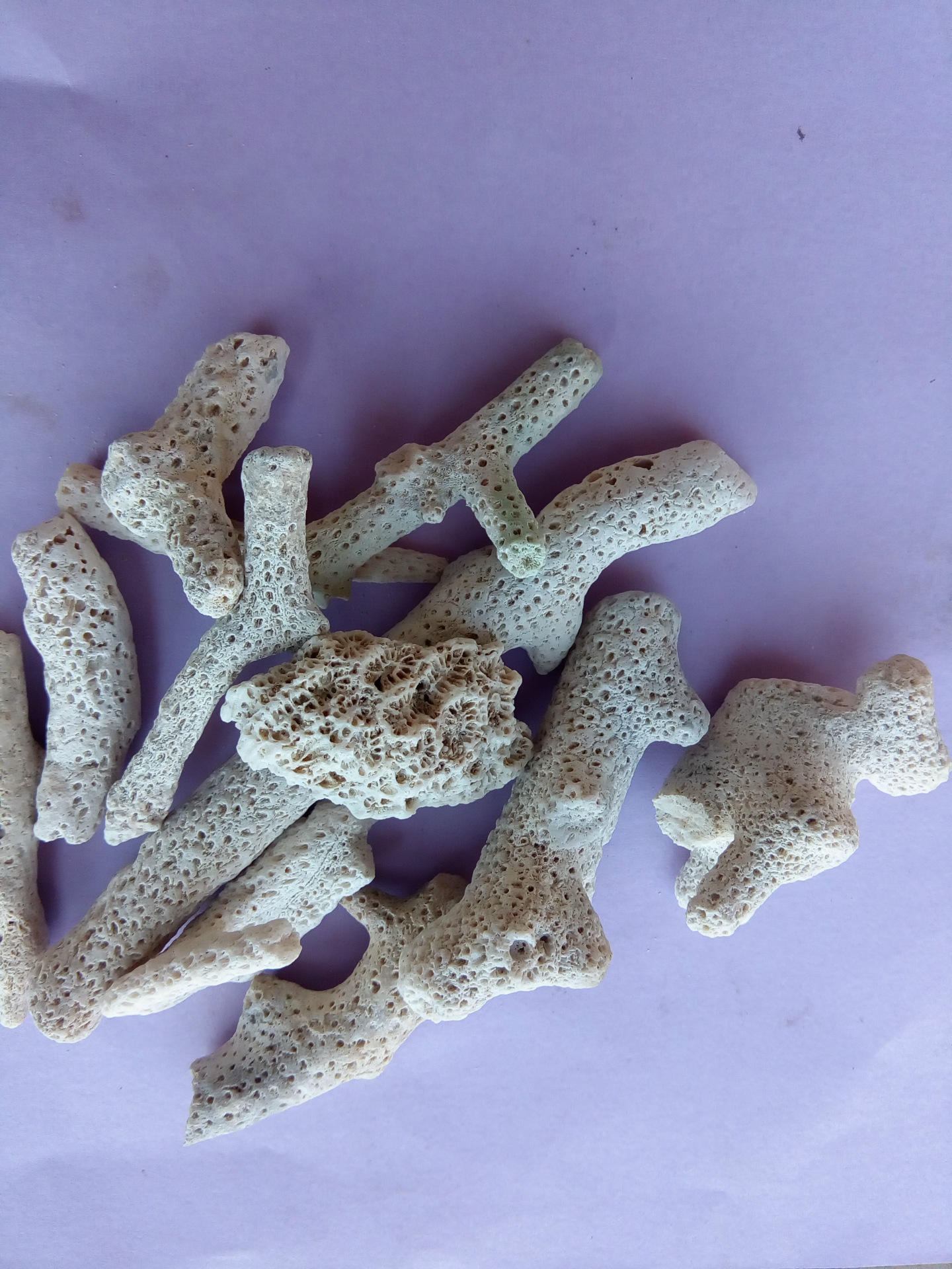 销售珊瑚沙 珊瑚石 底砂碎 珊瑚砂 鱼缸滤材 珊瑚骨水族过滤材料