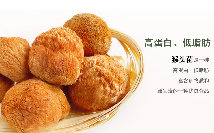 猴头菌提取物 猴头菌粉 供应
