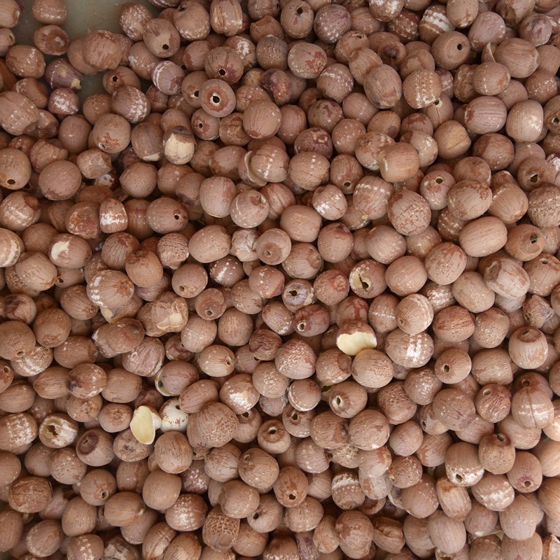 湖南农家红莲子无芯莲子去芯湘潭土特产野生级新鲜干货500g