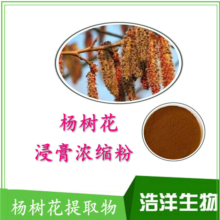 杨树花提取物 10:1 杨树花粉 浩洋生物