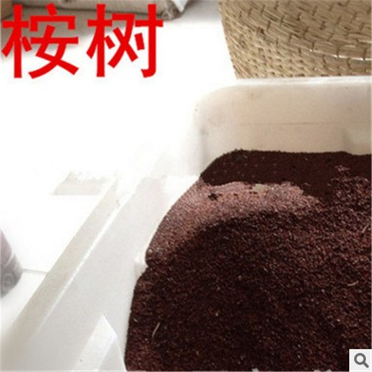 批发桉树种子尾叶巨桉蓝桉杏仁桉澳大利亚大小叶桉速生桉树种子