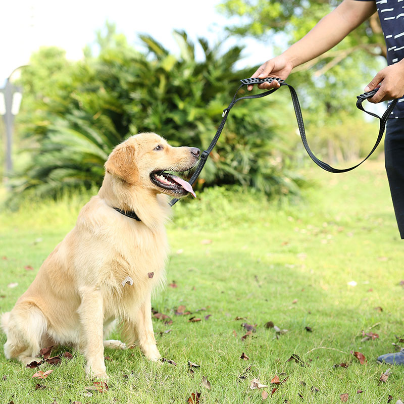 宠物用品一拖二牵引绳 双把手宠物反光牵引绳 狗狗用品外贸狗绳