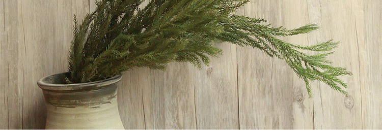 【天竺少女叶】森系自然干花束真花店餐厅家居装饰插花配材批发