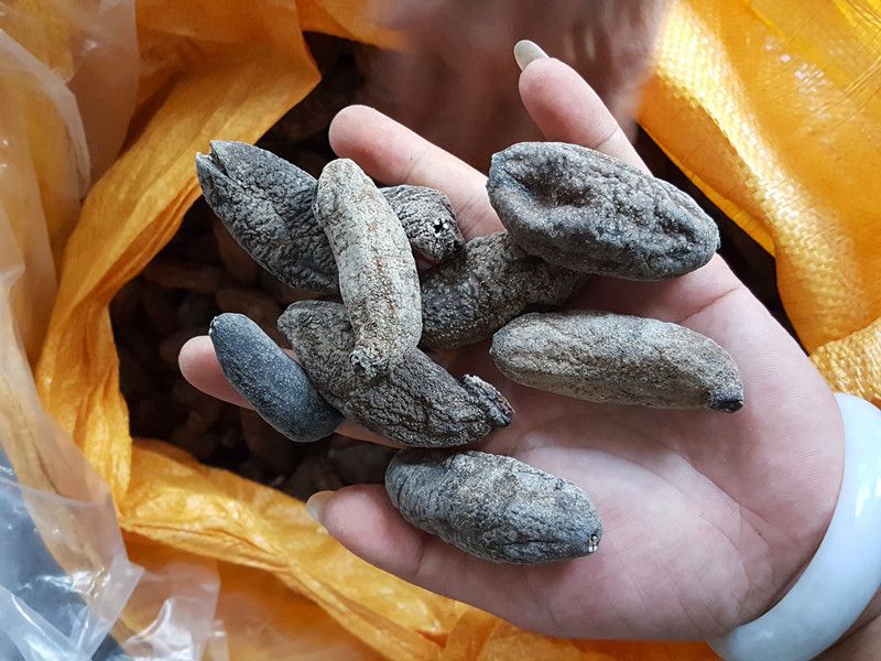 乌仁参乌元参 500g阿里巴巴批发海参干货 水发海参 发量大 便宜