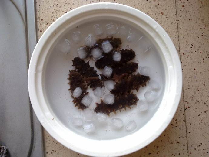 细心的朋友会发现,泡发海参的水温高会促进海参蜕皮,是自溶的开始