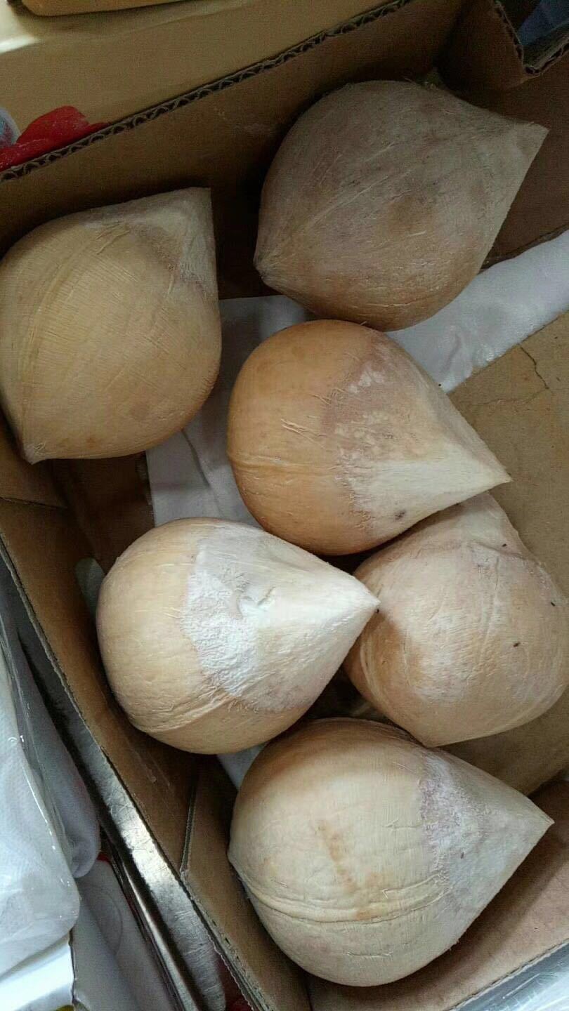 椰皇的营养价值