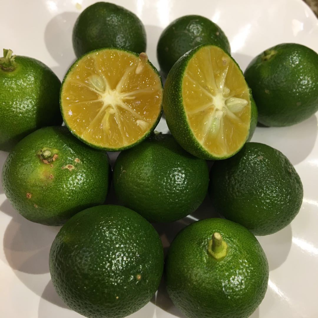 供应 水果小青桔