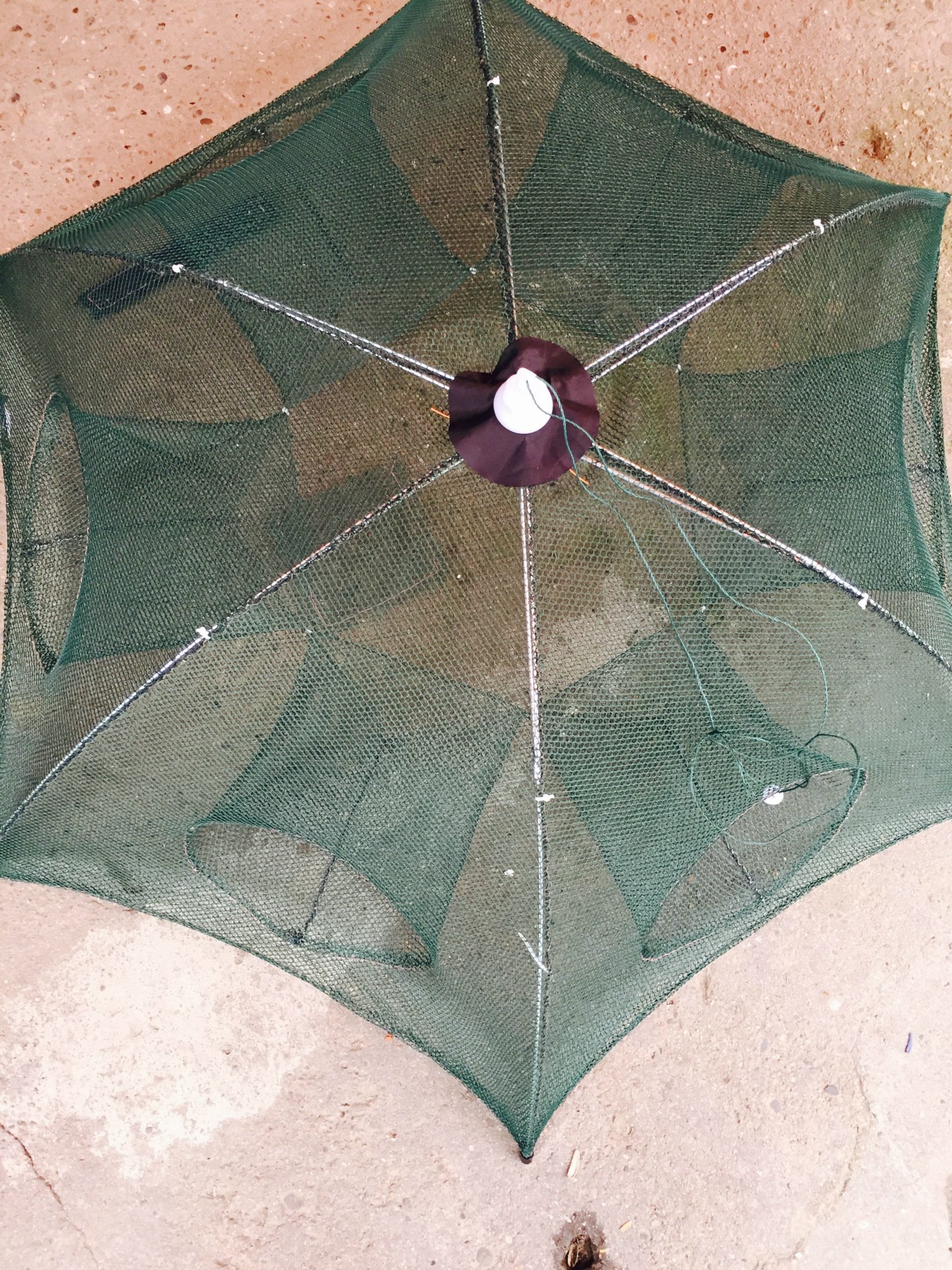 自动折叠鱼笼捕鱼网渔笼鱼笼折叠鱼网鱼具 6孔伞形自动渔笼