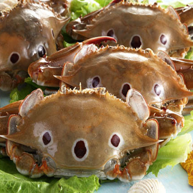 浙江三点蟹 ,专业打捞生产速冻梭子蟹 新鲜速递