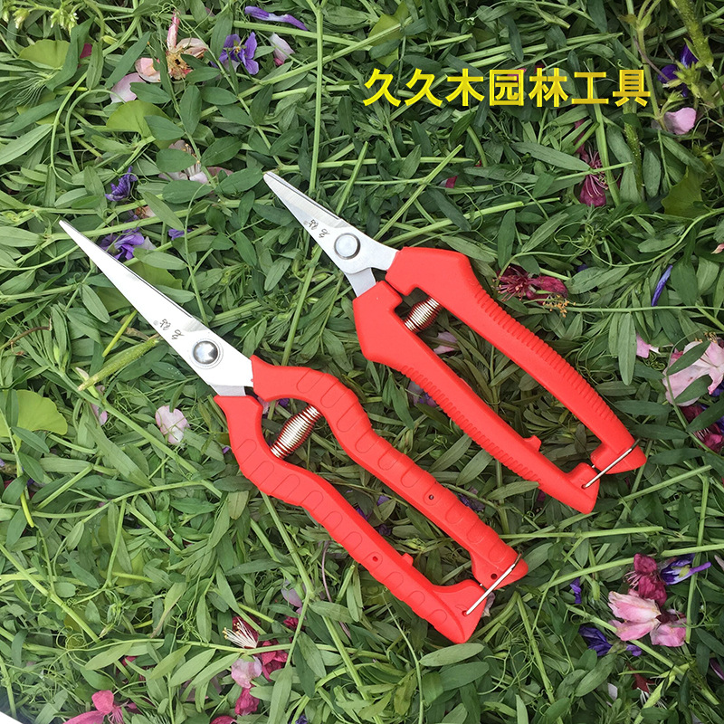 名钻不锈钢摘果稀果剪枸杞子疏花葡萄采摘剪刀园艺园林剪枝剪