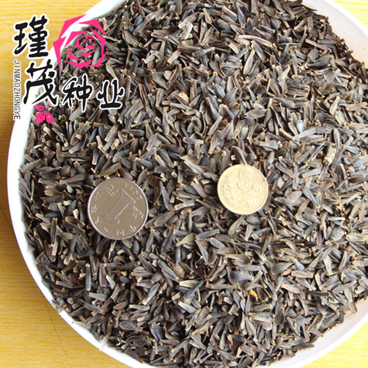 0成交275件批发优质草本花卉 大丽花种子 阳台盆栽 办公室种植￥25.