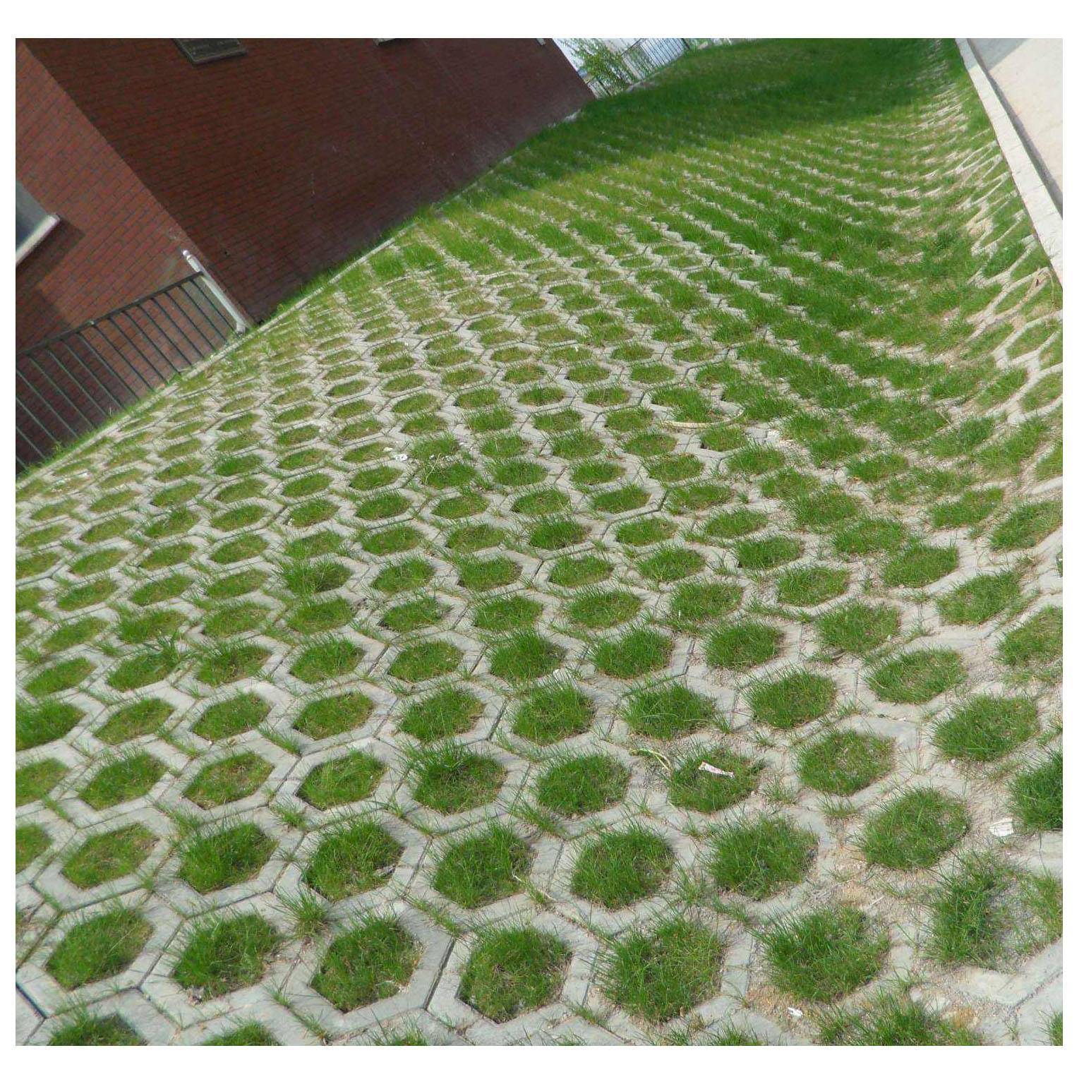 护坡砖,河道砖 300x400x100mm 锁链式护坡砖 可定制 厂家直销