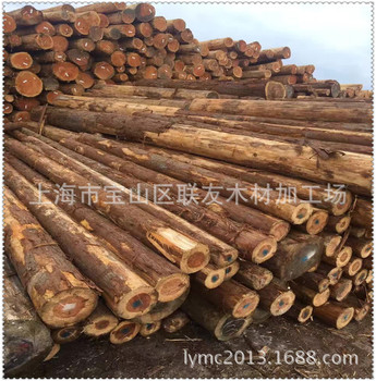 细纹花旗松原木 铁杉云杉原木 园林古建筑寺庙木材 量