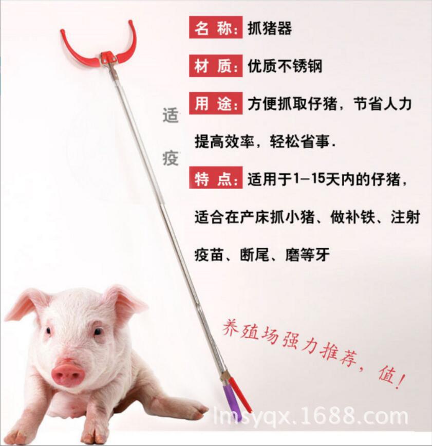 供应抓猪器 赶猪神器 赶猪拍