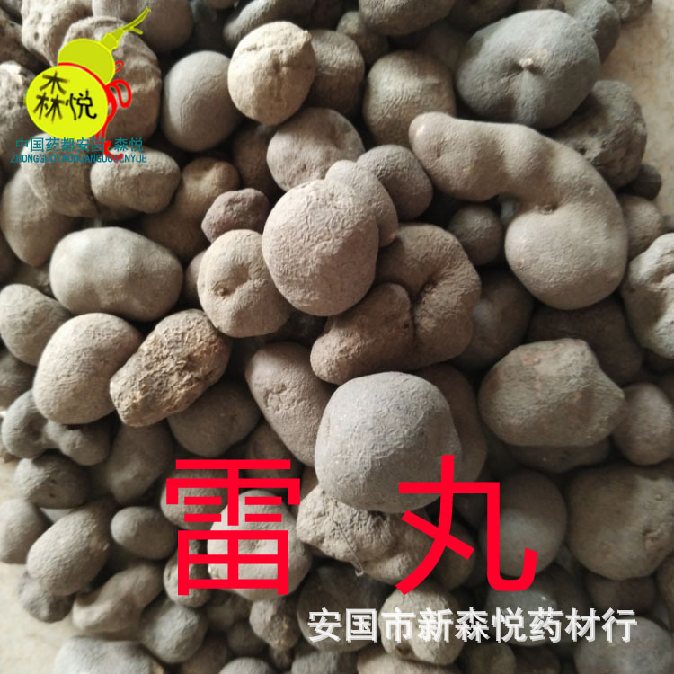雷丸 批发冷背中药材 竹苓 雷实 雷矢 竹铃芝 木连子 专药用正品