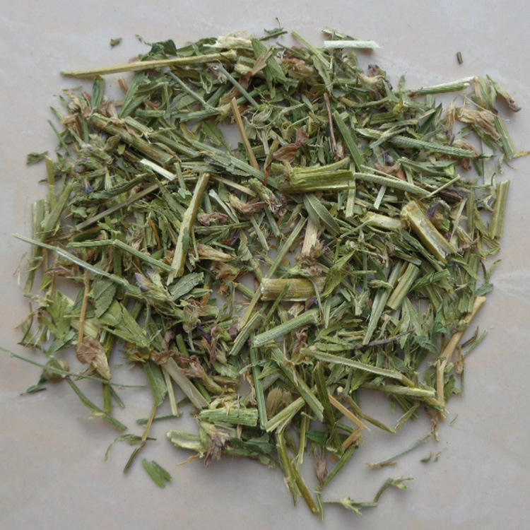 中药材 苜蓿草 金花菜 紫花苜蓿 金叶子 野苜蓿 三叶草