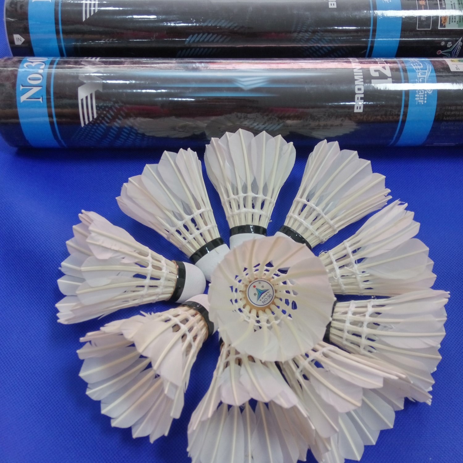 燕宇尼龙球彩羽毛球耐打鹅羽毛球台纤头训练球羽毛球12只装6只装