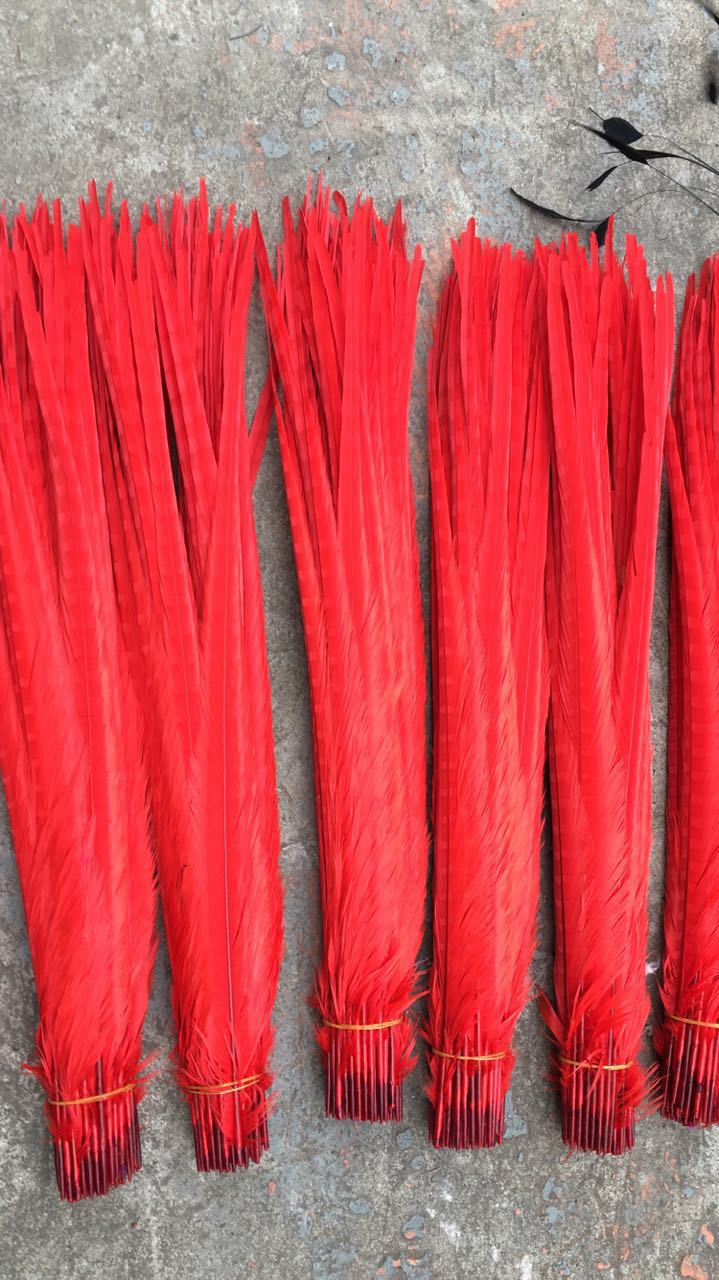 厂家直销 鸡毛 30-35cm红色公鸡尾毛