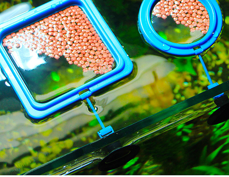 鱼食投喂圈喂食圈水族箱投食圈鱼缸喂食圈热带鱼鱼粮鱼饲料投食器