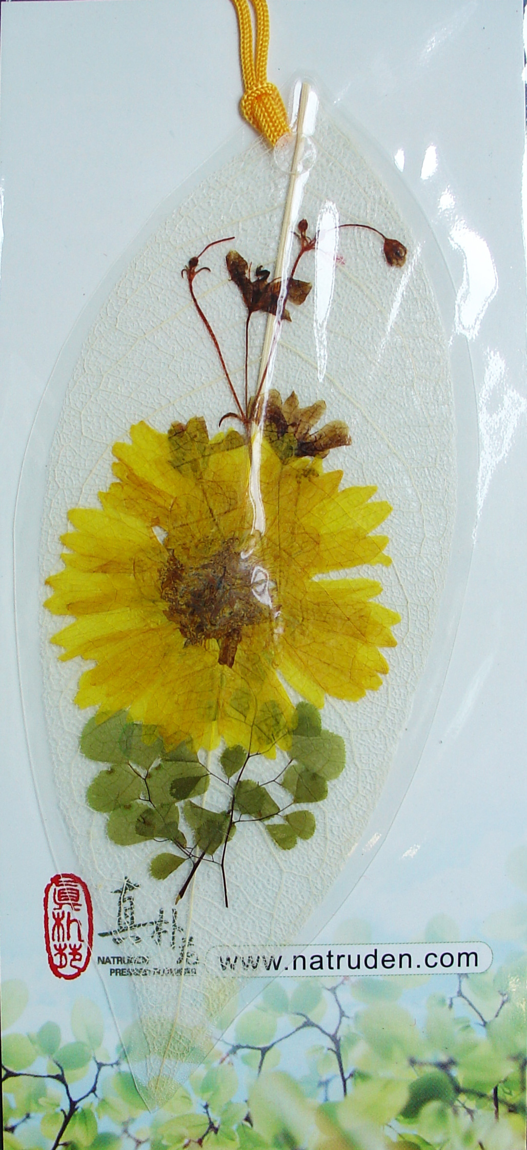 真朴苑天然植物押花压花干花植物标本画书签多款可选