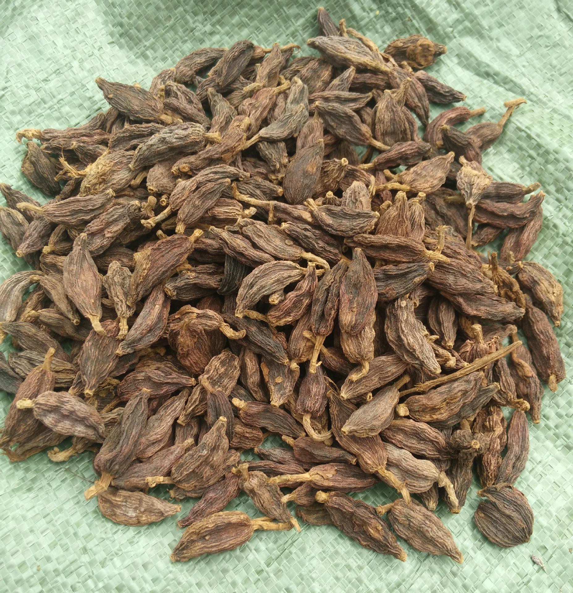 供应野草果,山草果,小草果,洋合果,洋火果,洋草果