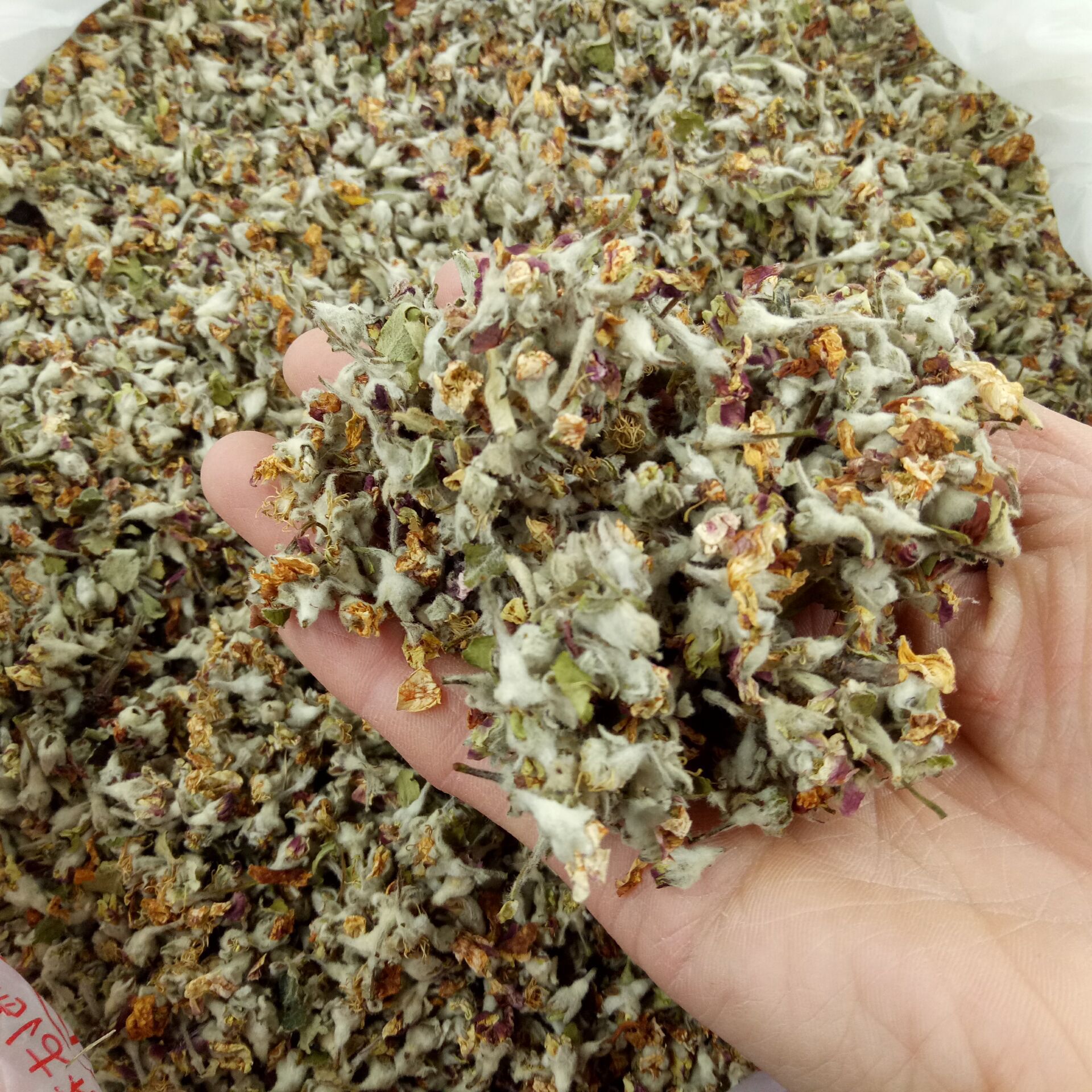 供应花草茶 苹果花茶 花草茶oem代加工 贴牌 苹果花粉