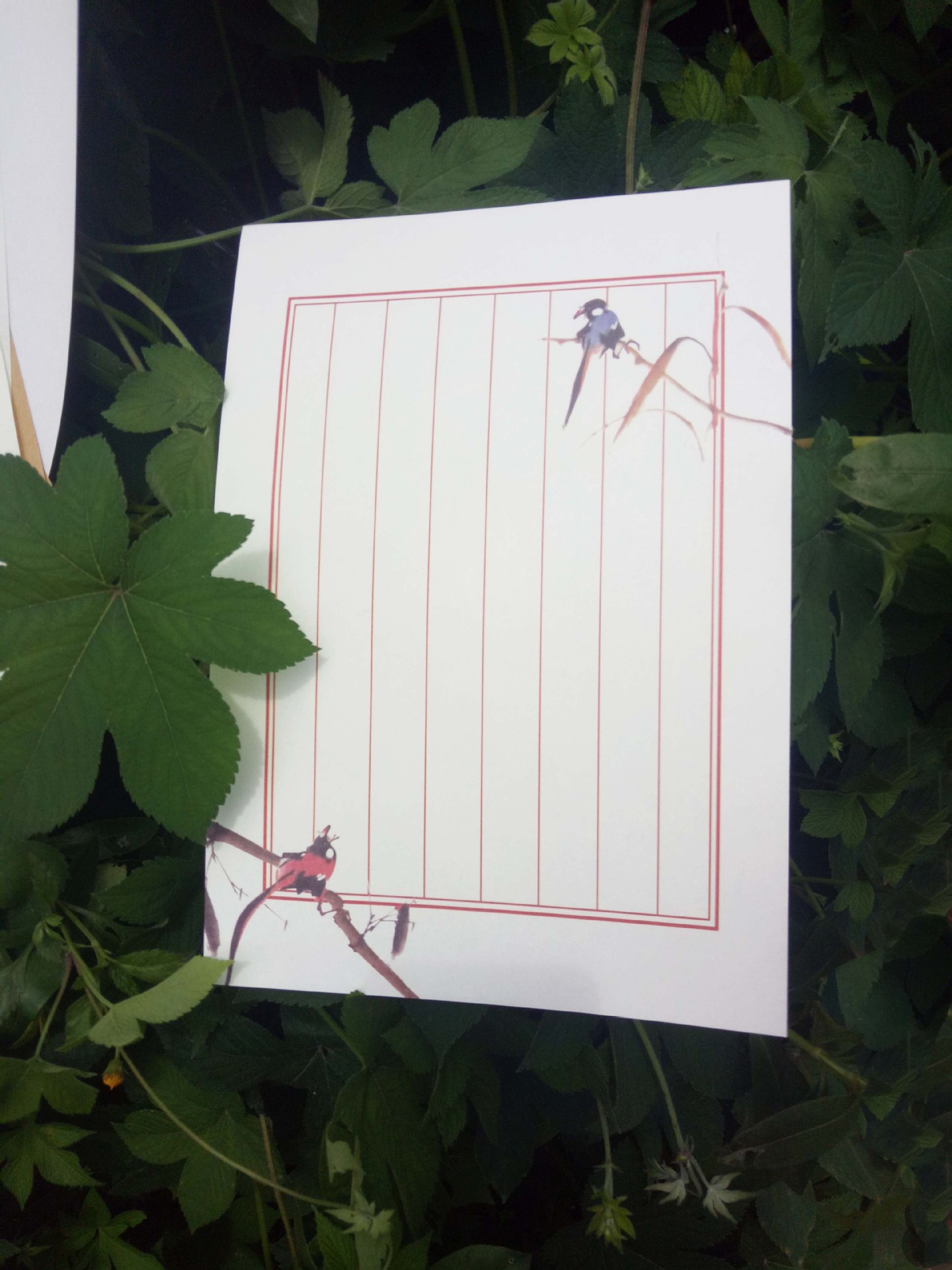 中国古风牛皮纸白纸复古水墨画信纸 一套8张入