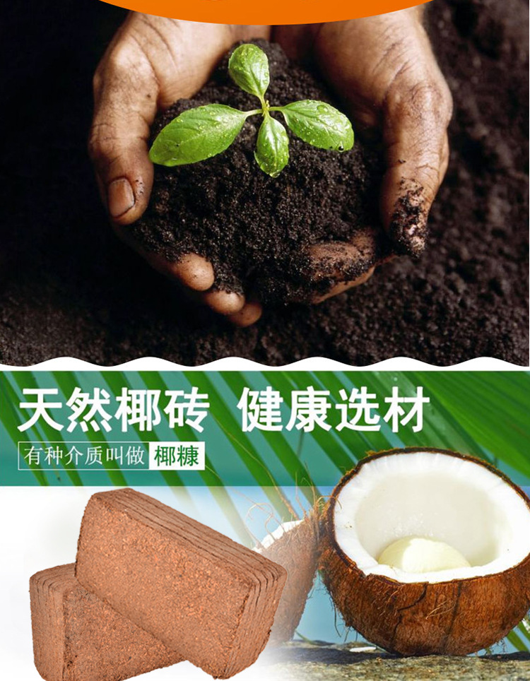 【鑫贝雪】椰砖椰土种菜土无菌营养土 厂家直销 质量保证