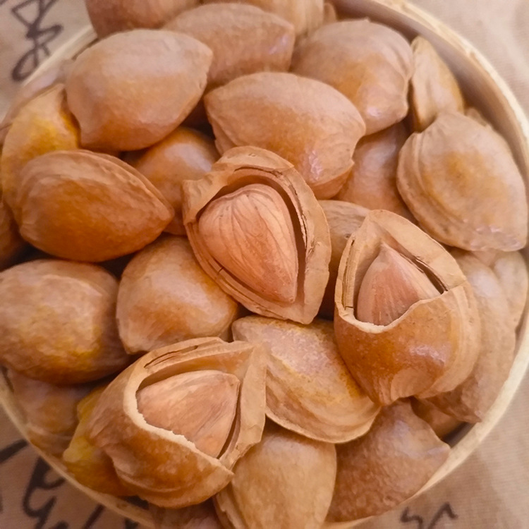 新货杏核 手剥开口壳杏仁 小银杏500g散装坚果零食批发零售代发