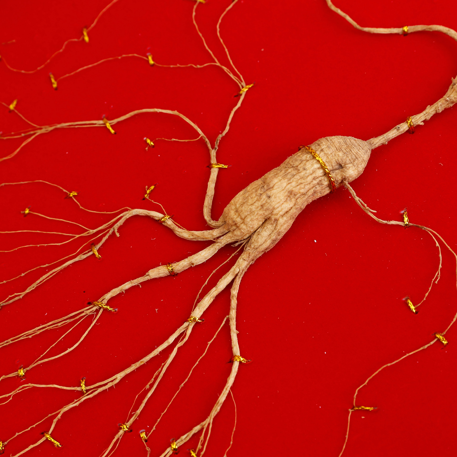 长白山人参 林下参 移山参 生晒参 干人参  野山参礼盒 滋补药材