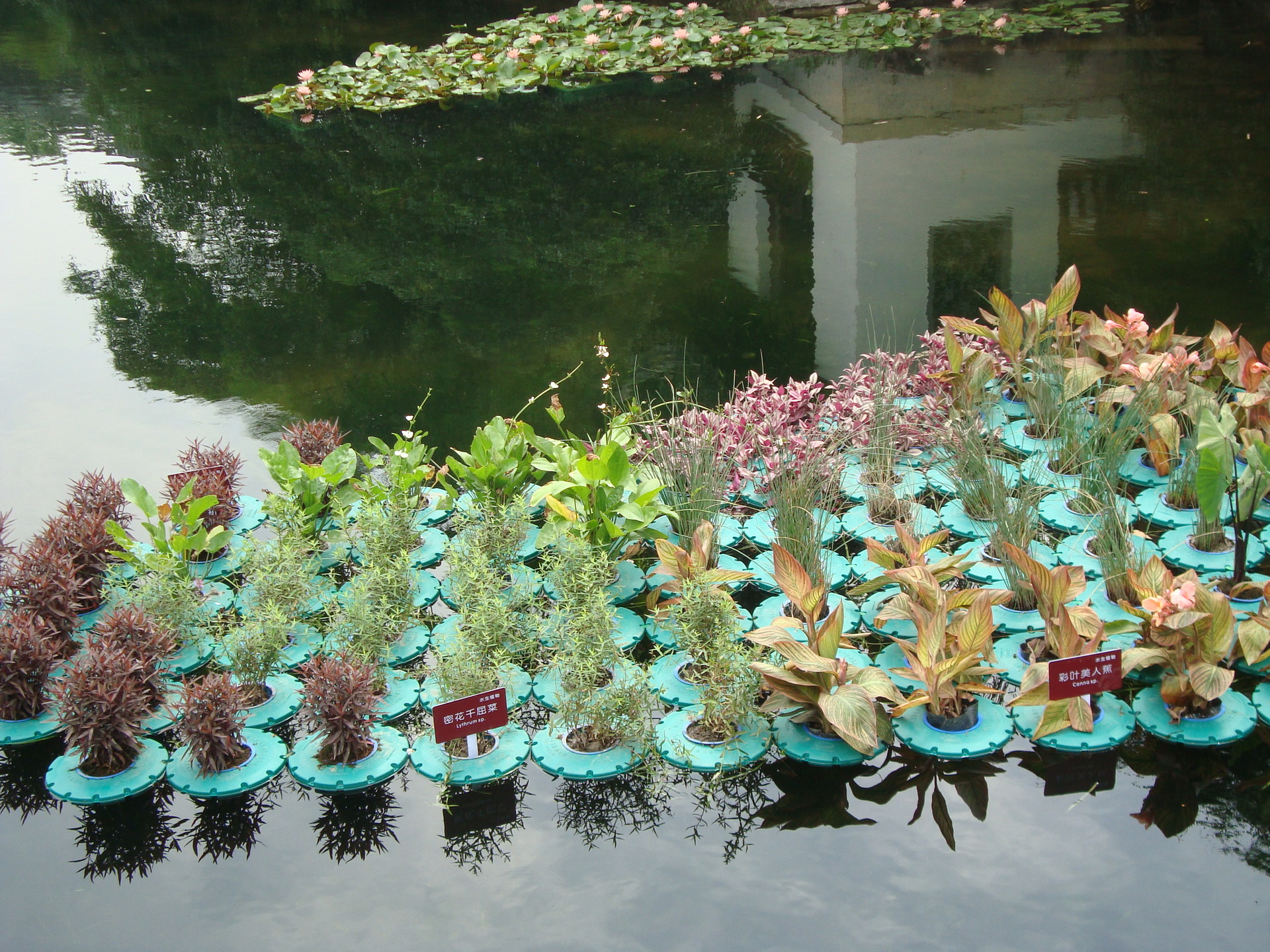 厂家直销浮床水生态治理人工浮岛聚乙烯塑料浮块种植浮板