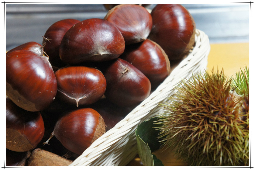 板栗 毛栗子 生新鲜板栗甜粉栗子现摘野生小油栗5斤包邮新货