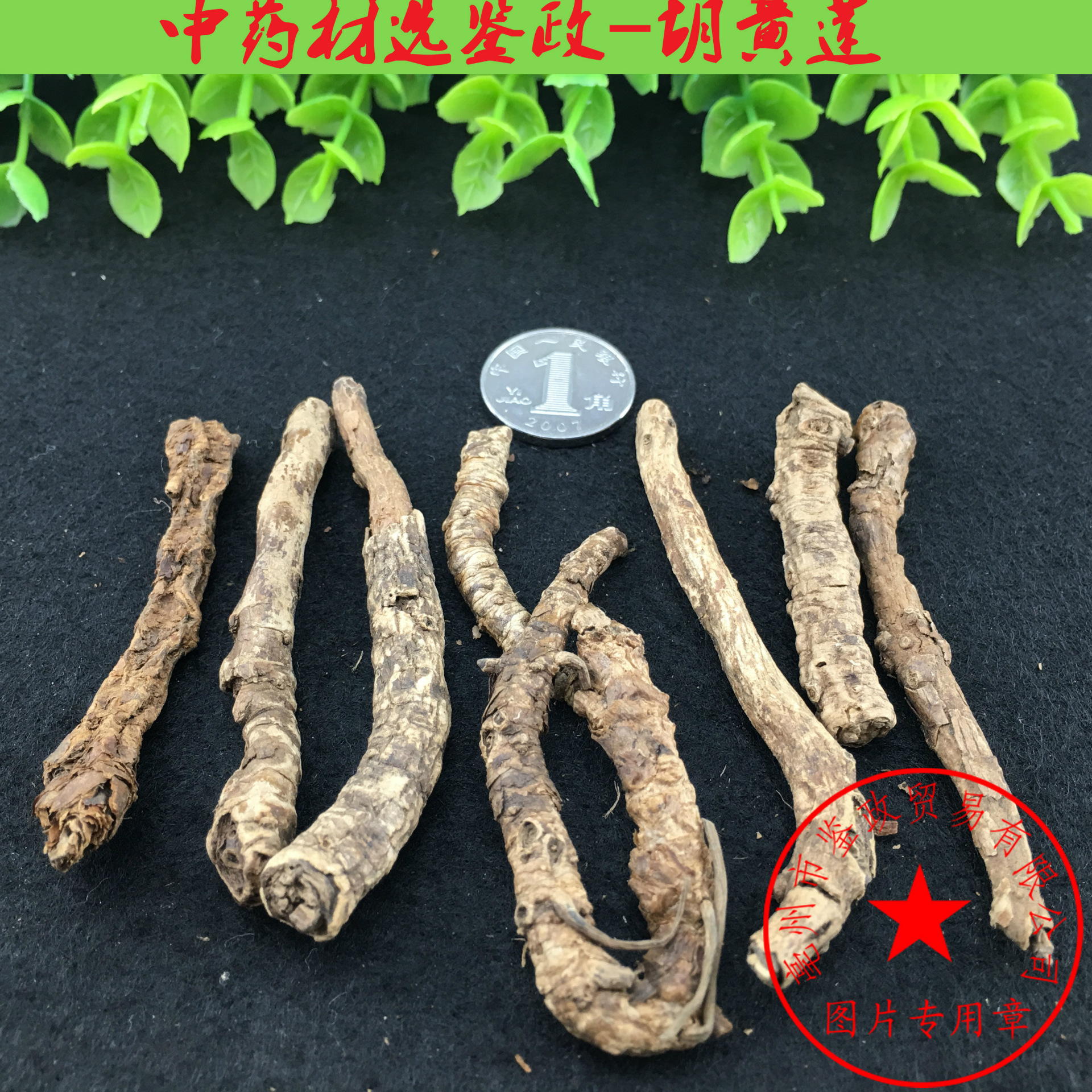 中药材 西藏 批发 胡黄连 胡连 胡黄莲粉